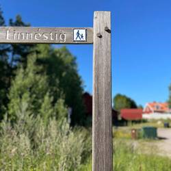 Startpunkt