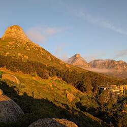 Signal Hill und Lions Head