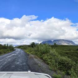 Zurück auf dem Denali Highway