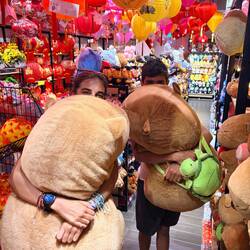 Rather oversized capybaras!