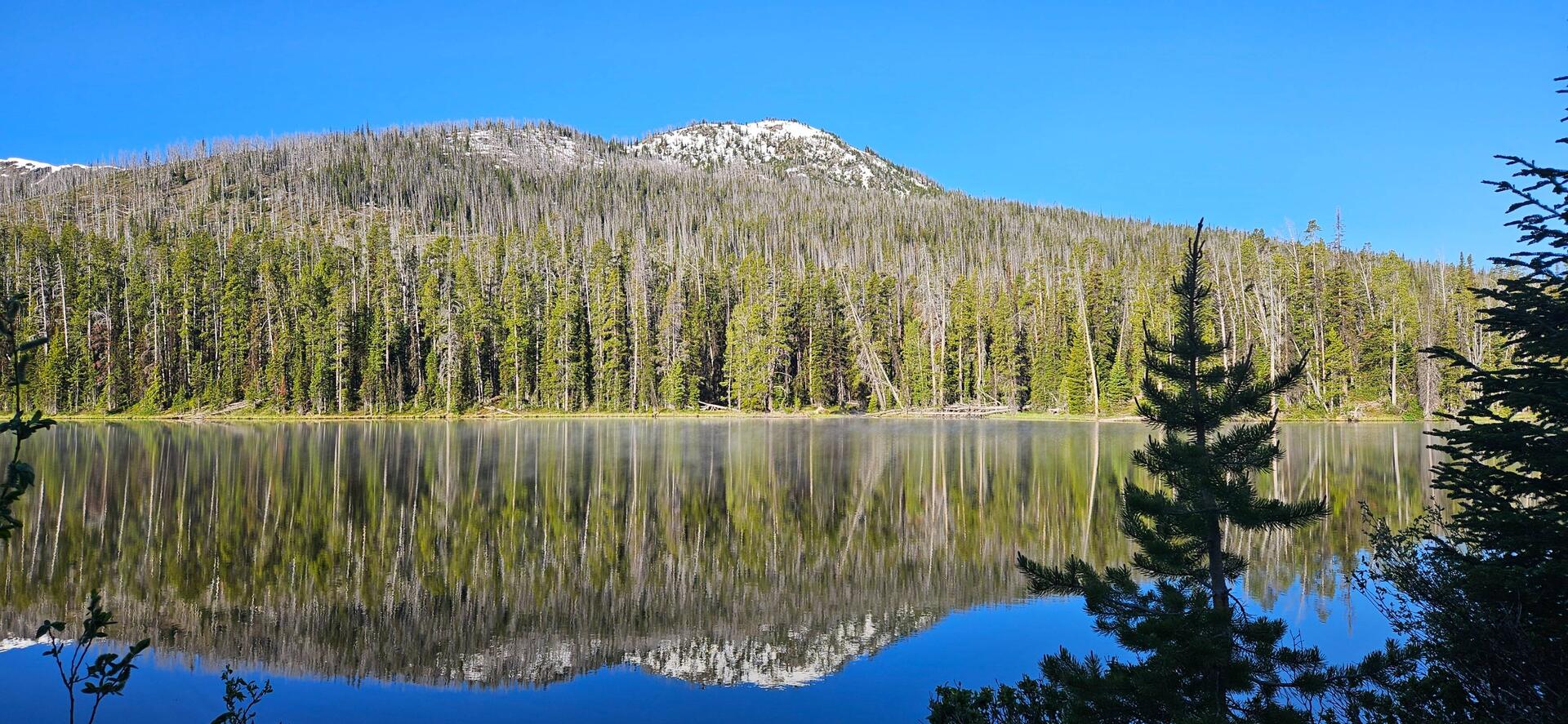Reflections in Sylvan Lake