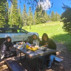 Picnic time. It was cool in the shade!