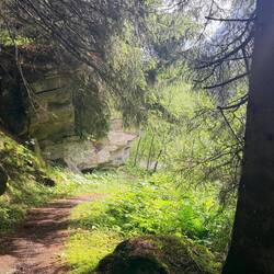 Über schöne Waldwege (und viel Straße 🤪)...