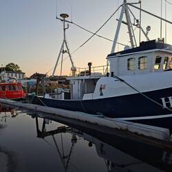 Der Fischereihafen