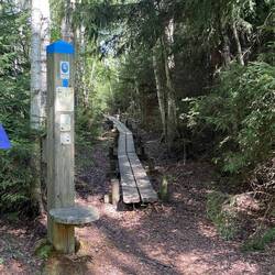 Ziel erreicht: Sjödy