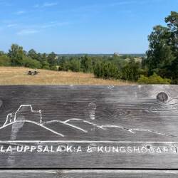Blick auf Alt-Uppsala