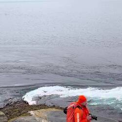 Saltstraumen bei Flut