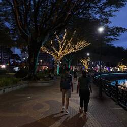 Walking along after dinner