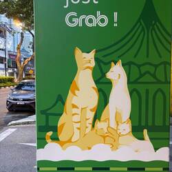 And more cat stuff