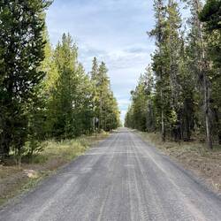 Wir konnten heute zum Glück relativ lang auf einer ruhigen Nebenstrasse wandern.