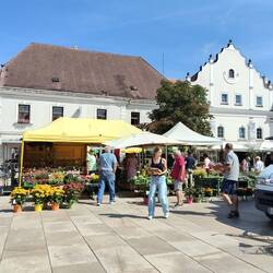 A lovely market