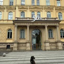 Heute will ich Studieren - Slowenische Hundegeschichte
