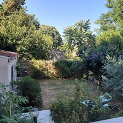 Our oasis in the suburbs