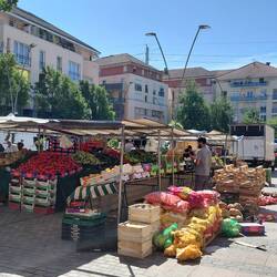 Our local marche, 10 mins away, runs from 11am - 7pm, and the average price €1.50 kg!
