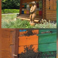Bienenstock in Bled