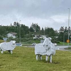 Und wenn es dann auf der Autobahn in Reykjavik keine echten Schafe mehr gibt, dann eben künstliche