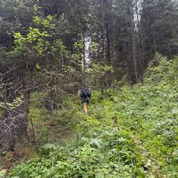 Umweg durch den Erdrutsch