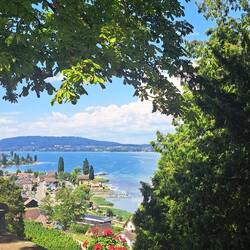 Untersee