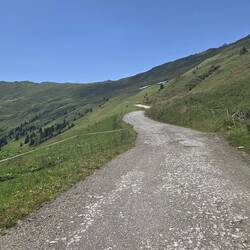 Und danach noch endlose Forststraßenkehren bis zur Hütte 😜