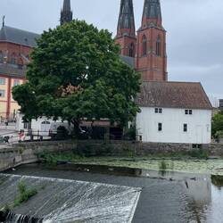 schon 'mal einen Blick auf den großen Dom