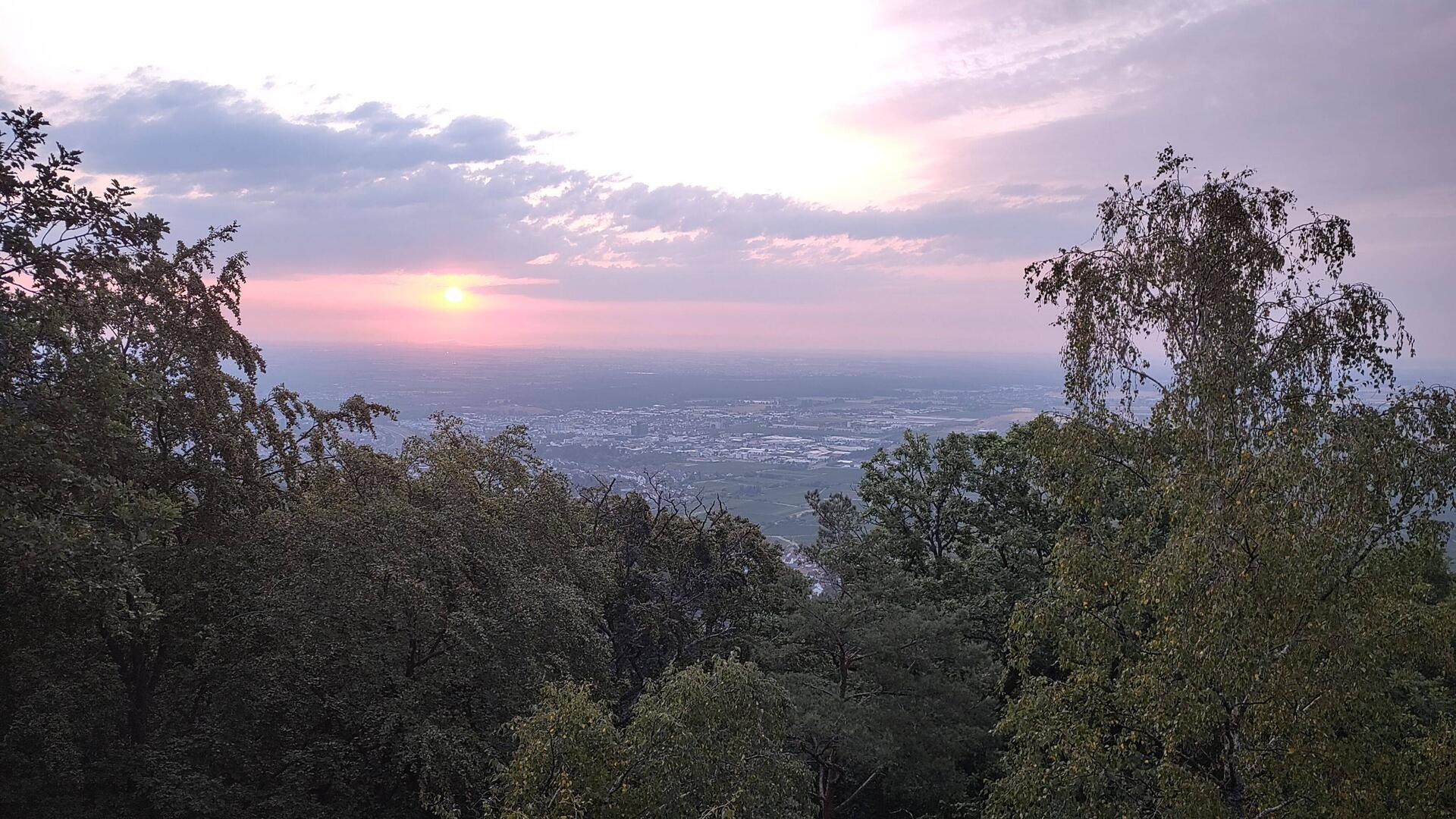 Sonnenaufgang über der Rheinebene