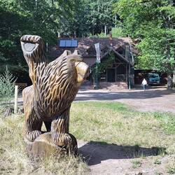 der Bär bewacht die Landauer Hütte