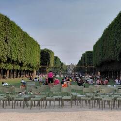 Just some of the 4,500 park chairs in the Paris gardens