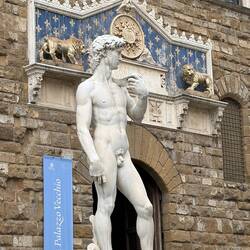 David