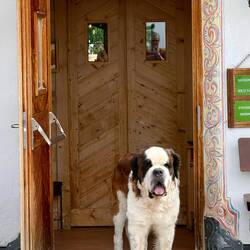 The greeter at the restaurant near the top of the cable car.