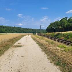 Schon ein Vorgeschmack von Hitze und Einöde.