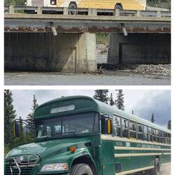 Mit diesen Bussen kann man den Park ebenfalls bis Meile 43 erkunden