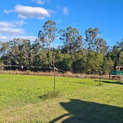 Sugar cane train behind the pub we are staying at.
