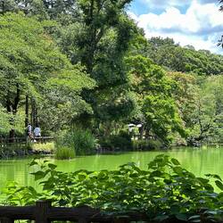 Inokashira Park