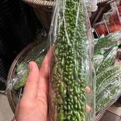 Keine Ahnung was das ist? Eine Gurke?