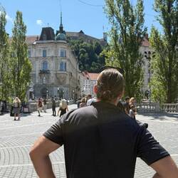 Sehnsuchtsvoller Blick zur Burg
