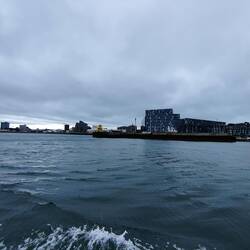 Harpa
