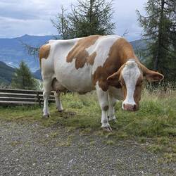 Neue Bekanntschaften unterwegs gemacht