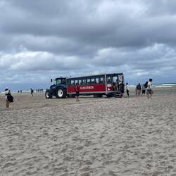 Sandstorme - ein Bus der die Touris zur besagten Stelle fährt