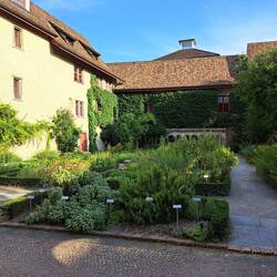 Krätergarten, Kloster Allerheiligen