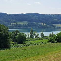 Bodensee bei Hemmenhofen