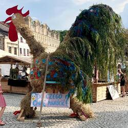 Kogut, der Kazimierz-Hahn auf dem Marktplatz anlässlich des Festivals, eine lokale Legende ...
