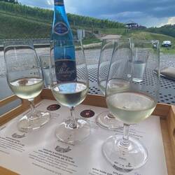 Der Riesling von Kazimierskie Wzgórza war ganz passabel...