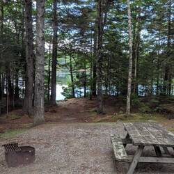 Site 20, Ellenwood Lake Provincial Park