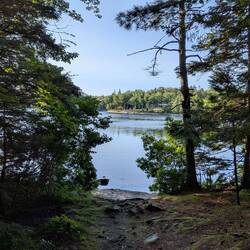 Site 20, Ellenwood Lake PP