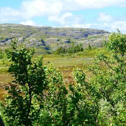 First sight of the high country in Norway