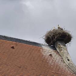 Der linke ist unecht. Soll er Störche animieren, hier einzuziehen? Weiß das jemand?