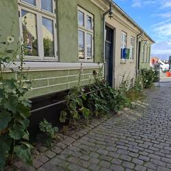 ... oder grün