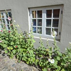 ... graue Wand geht auch