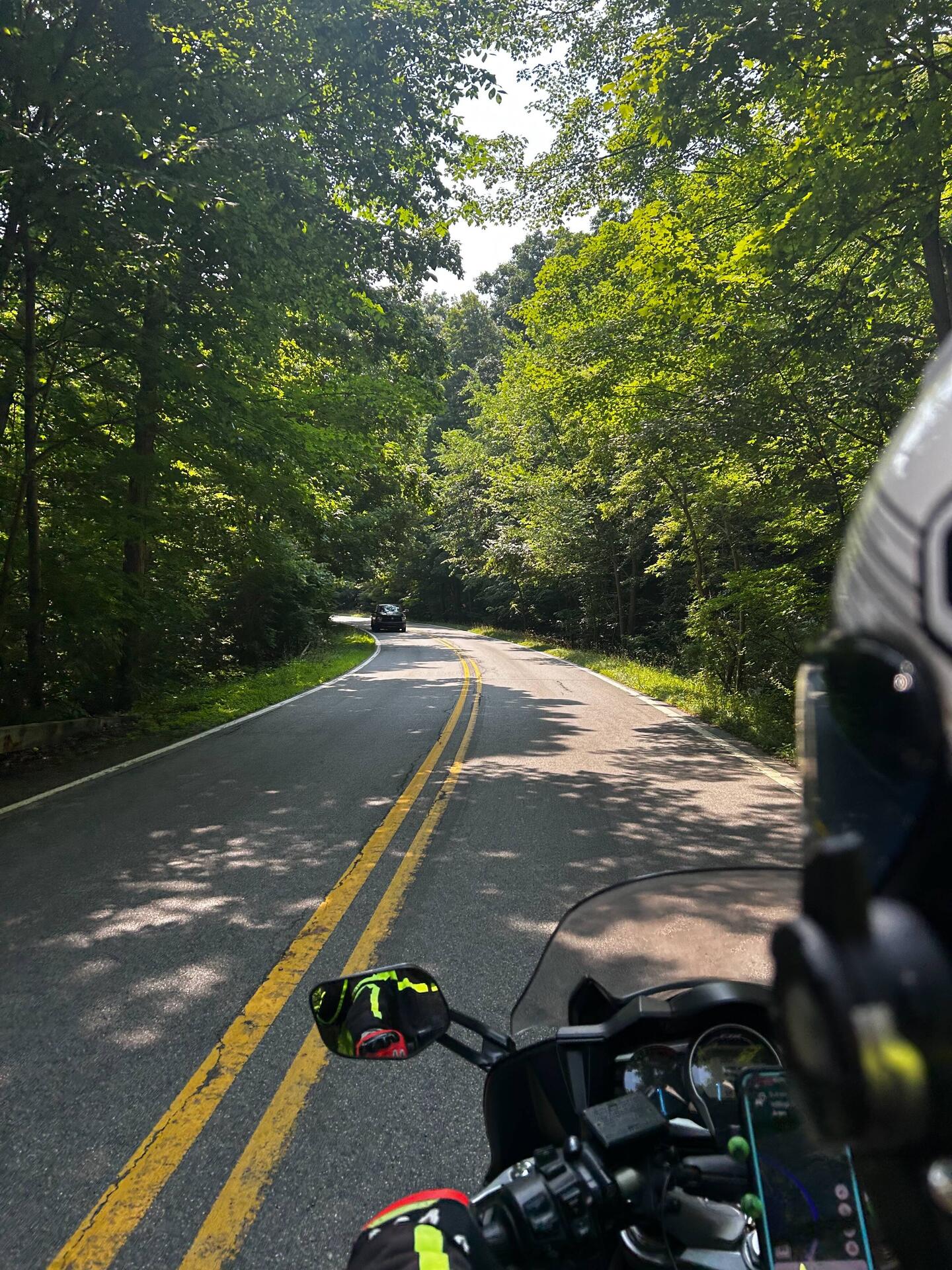 Glad to be back in the land of trees