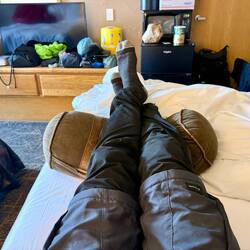 Sobald ich in einem Bett liege, bin ich zu nichts mehr fähig...